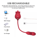 UAE VIBRATOR- Double Head Vibrator Licking Stimulator Body Massager Silent Waterproof Women Gift