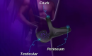 dubai ring - Cock Ring Balls Vibrator with Remote Control uae sex toy