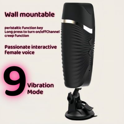 UAE Masturbator - Masturbator can be hung on the wall Abu Dhabi